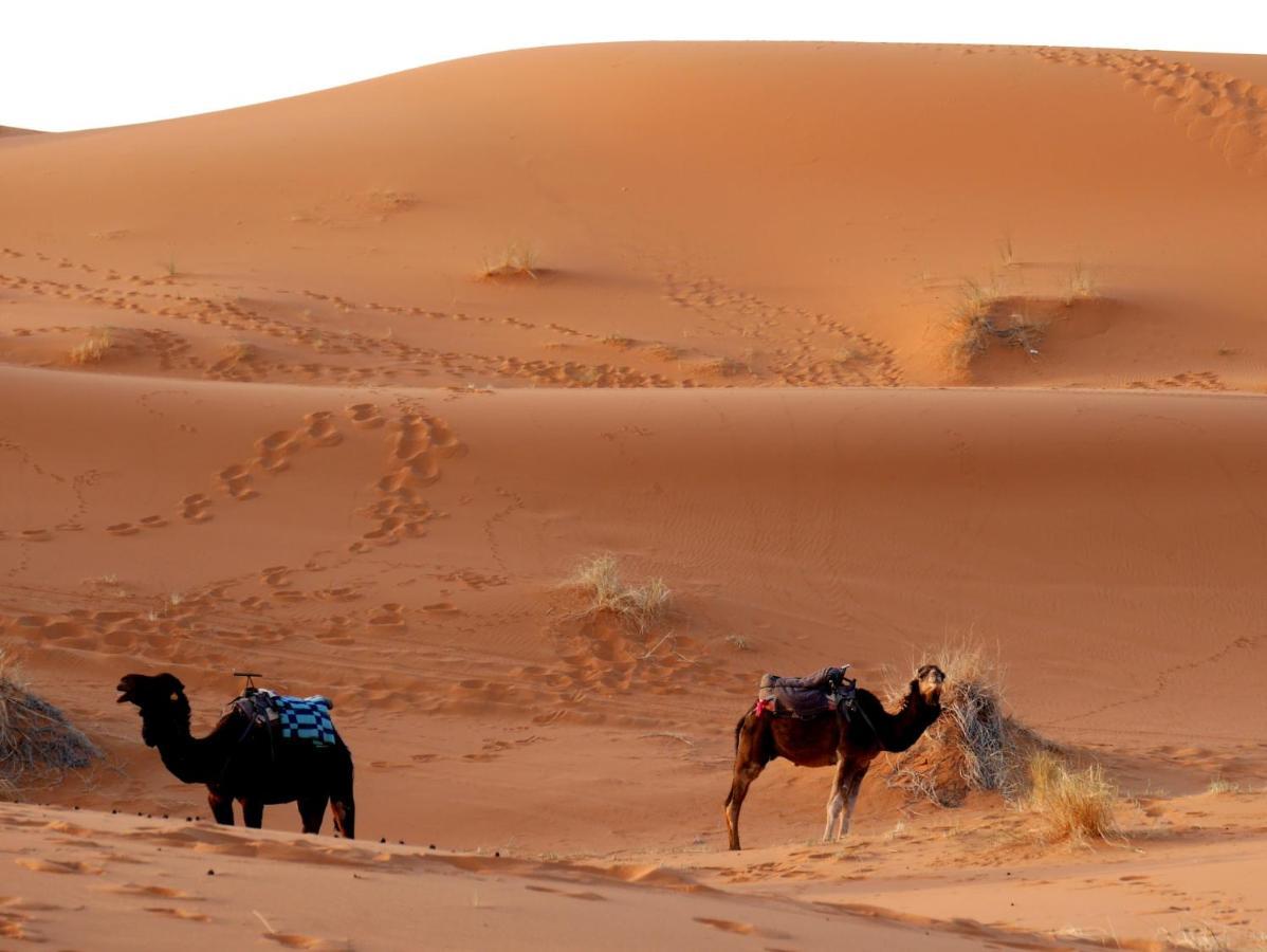 La Vallee Des Dunes - Auberge, Bivouacs Et Excursions Merzouga Exterior photo