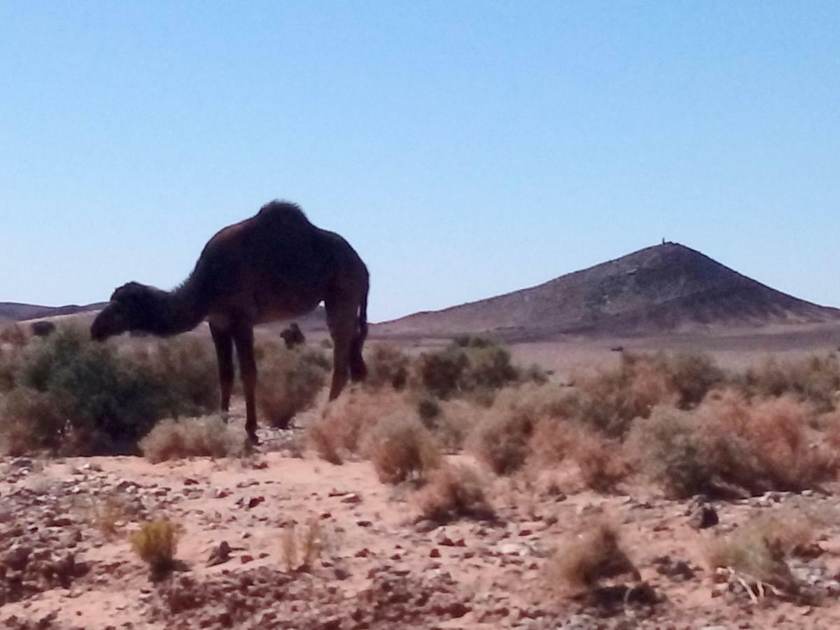 La Vallee Des Dunes - Auberge, Bivouacs Et Excursions Merzouga Exterior photo