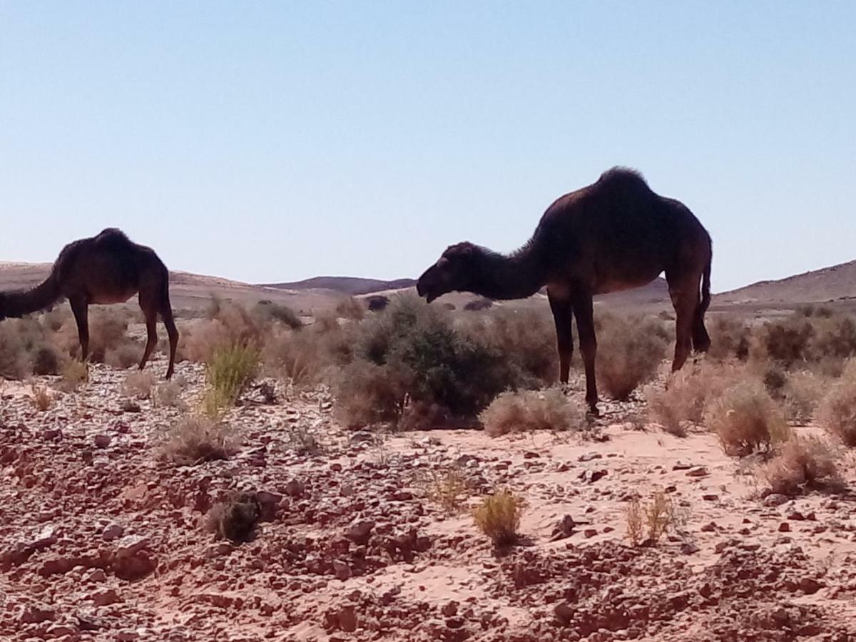 La Vallee Des Dunes - Auberge, Bivouacs Et Excursions Merzouga Exterior photo