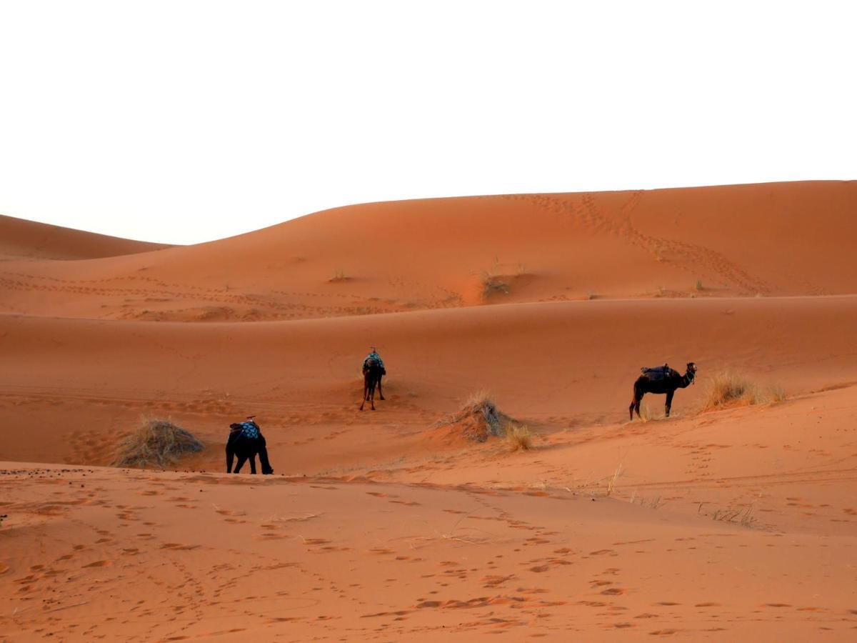 La Vallee Des Dunes - Auberge, Bivouacs Et Excursions Merzouga Exterior photo